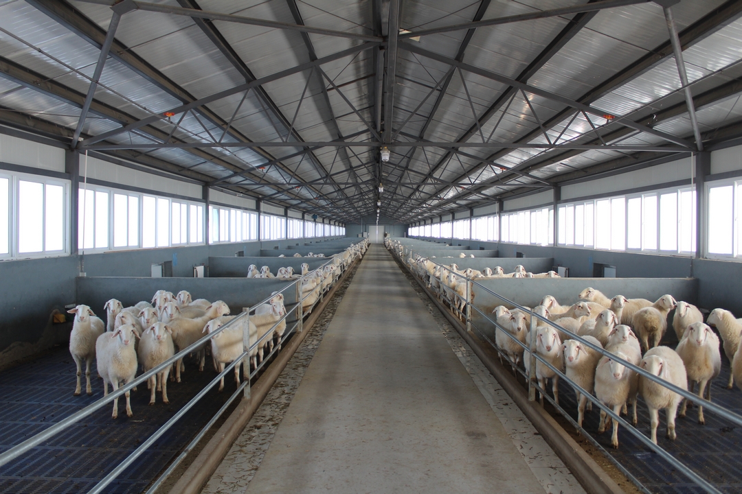 當(dāng)好產(chǎn)業(yè)扶貧主力軍，打贏脫貧攻堅戰(zhàn)