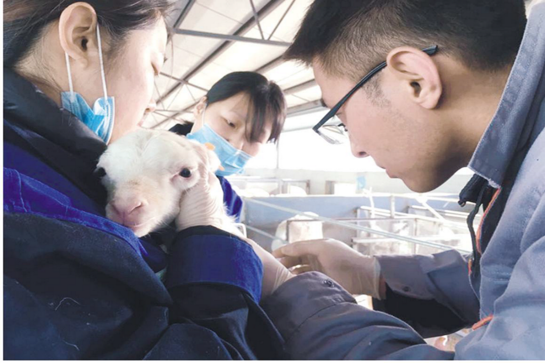 當(dāng)好產(chǎn)業(yè)扶貧主力軍，打贏脫貧攻堅戰(zhàn)